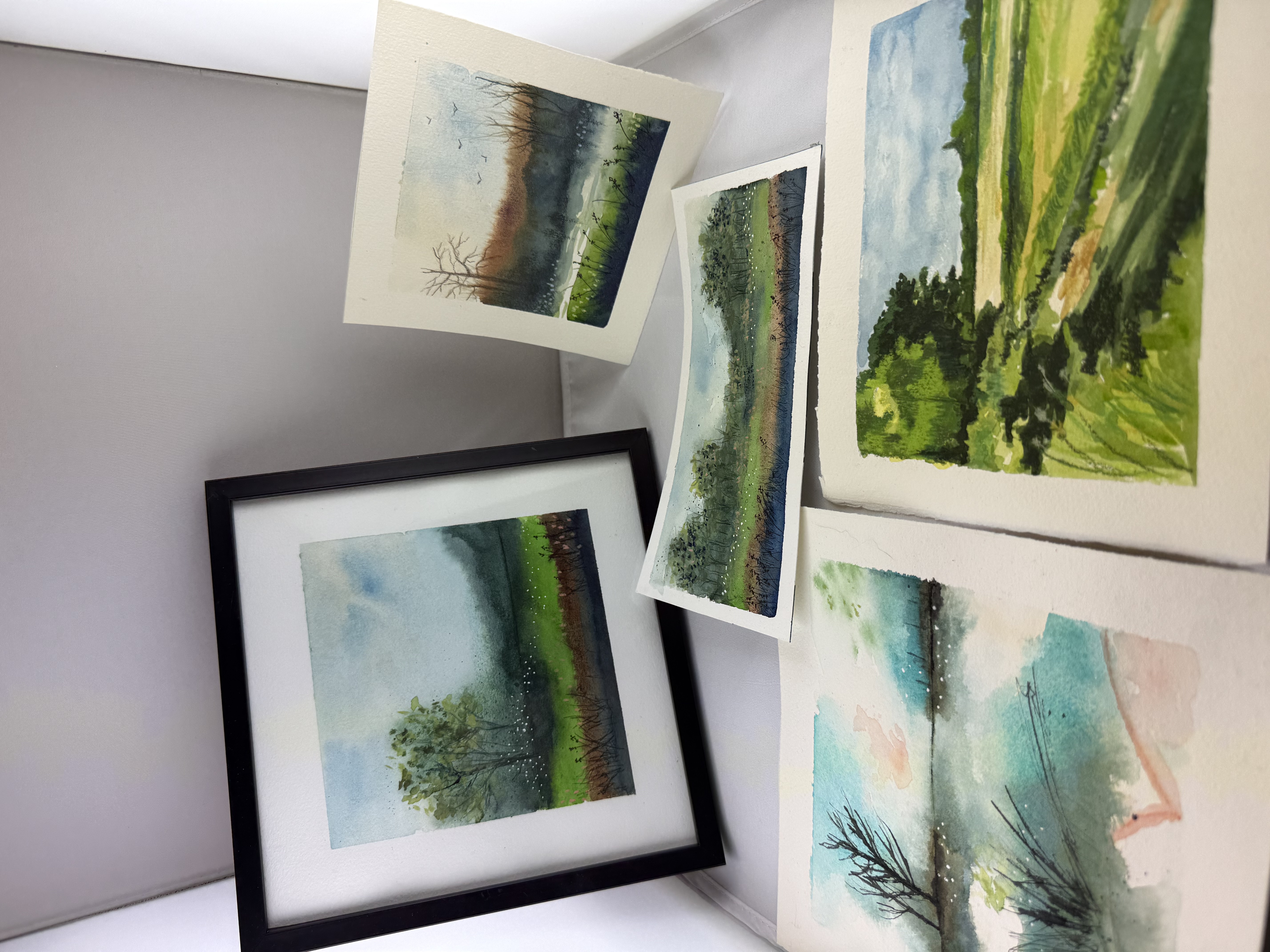 Aquarelle adulte