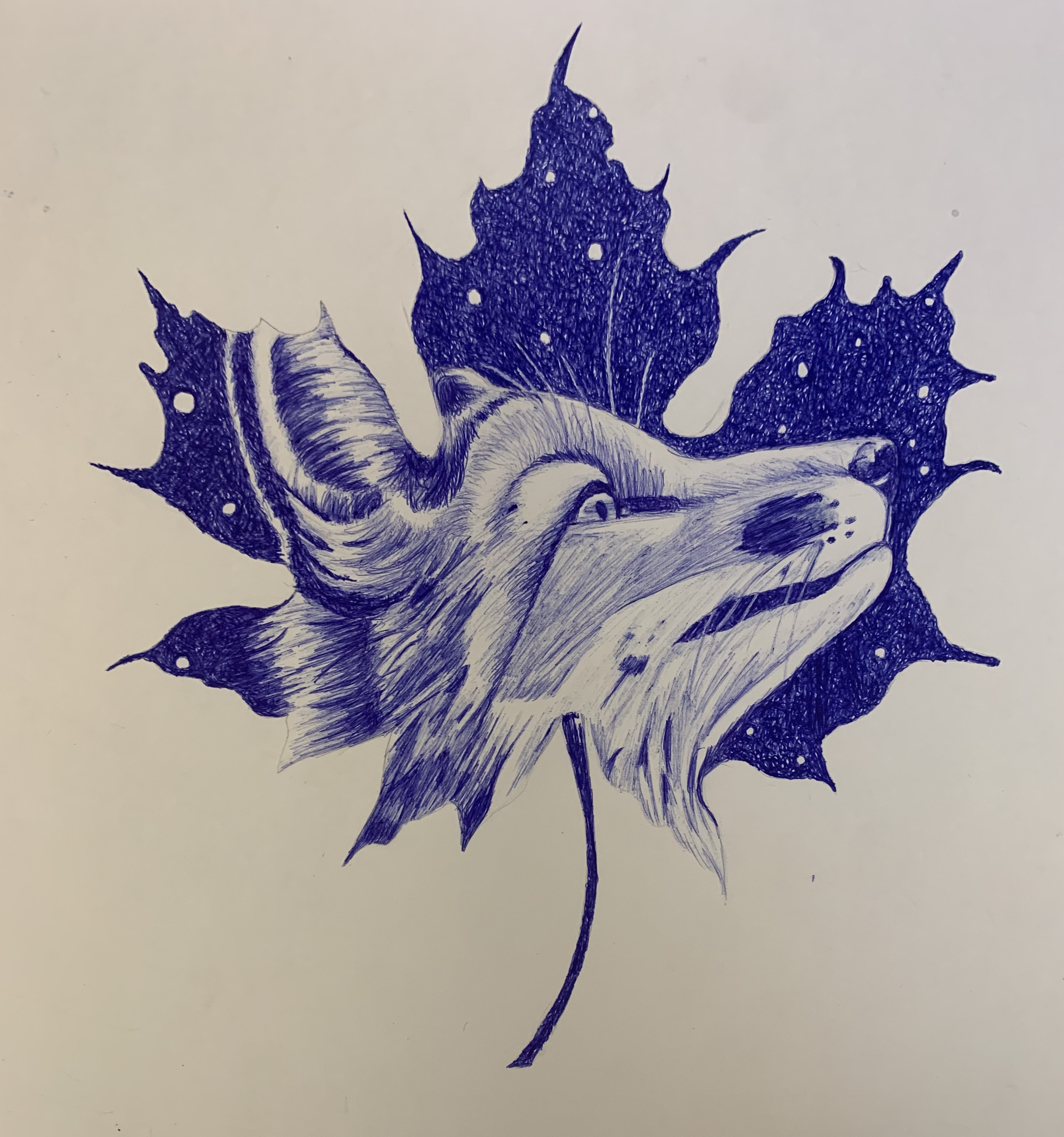 Dessin 1